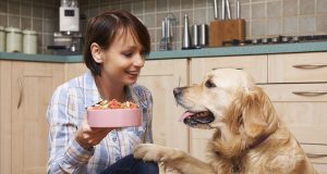 Choosing-the-right-dog-food